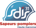 SDIS31