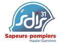 SDIS31